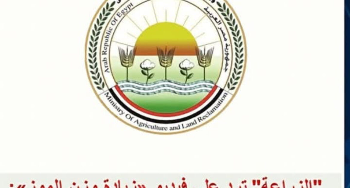 الزراعة ترد على مقطع الفيديو المتداول الذى يزعم فيه صاحبه زيادة وزن سوباطات الموز