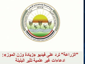 الزراعة ترد على مقطع الفيديو المتداول الذى يزعم فيه صاحبه زيادة وزن سوباطات الموز