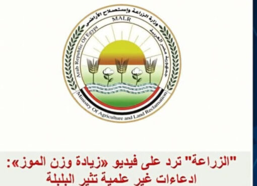 الزراعة ترد على مقطع الفيديو المتداول الذى يزعم فيه صاحبه زيادة وزن سوباطات الموز