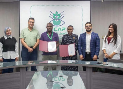 المركزى لمتبقيات المبيدات يستقبل متخصصين من تنزانيا ضمن برنامج تدريبي دولي حول اختبارات الكفاءة في الفواكه