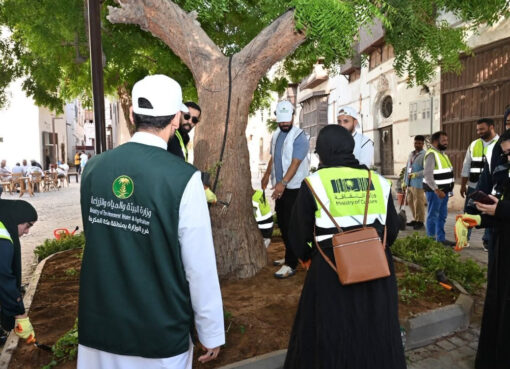 بيئة مكة والثقافة تشجران جدة التاريخية ضمن المرحلة الاولى