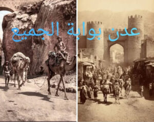 احمد حسن صالح يحي.
باشGنة.
كاتب ومحلل سياسي وأديب.