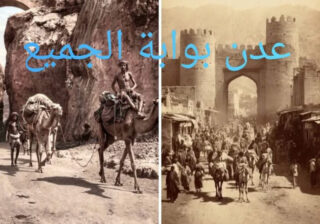 احمد حسن صالح يحي. باشGنة. كاتب ومحلل سياسي وأديب.