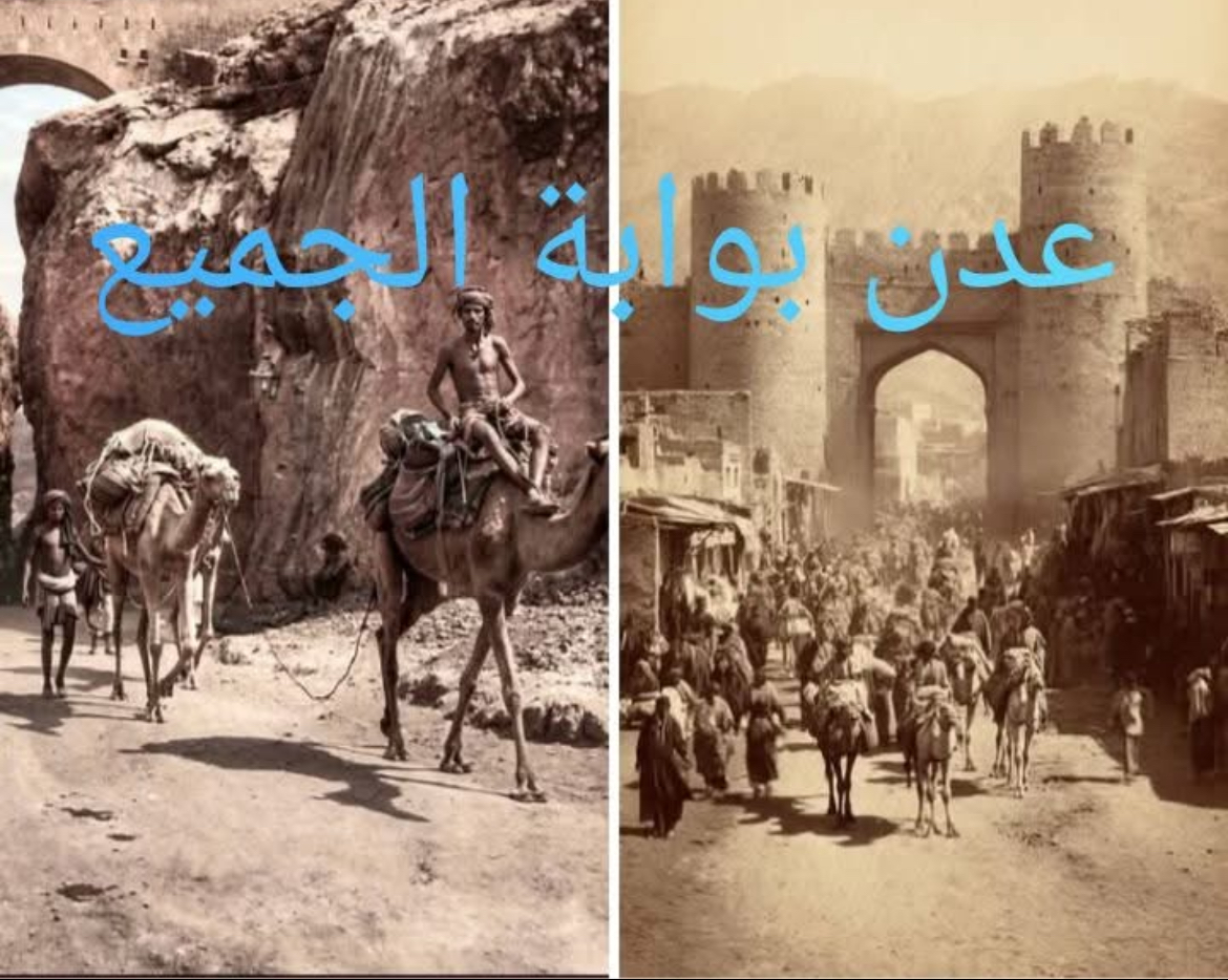 احمد حسن صالح يحي. باشGنة. كاتب ومحلل سياسي وأديب.