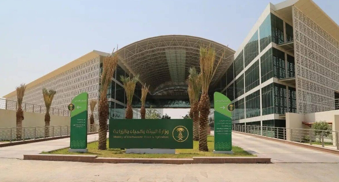 «بيئة مكة» تطرح فرصة استثمارية لتطوير منتزه وادي حلي بالقنفذة