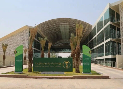 «بيئة مكة» تطرح فرصة استثمارية لتطوير منتزه وادي حلي بالقنفذة