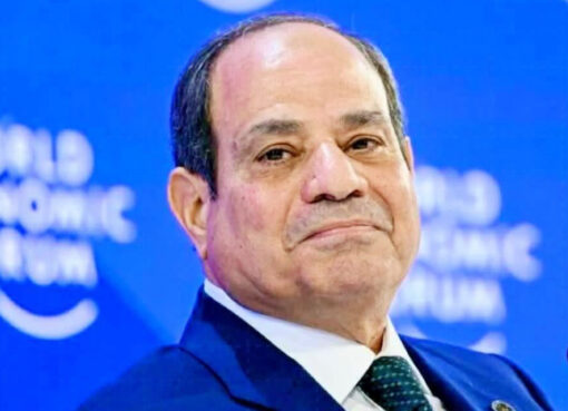 الرئيس السيسى يصدق علي قانون إعادة تنظيم جهاز مستقبل مصر للتنمية المستدامة
