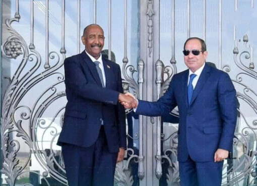 مصر تؤكد استعدادها للمشاركة في إعادة إعمار السودان فور توقف الحرب