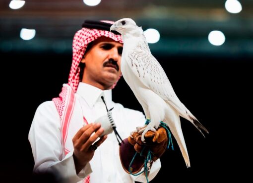 الأمير نايف بن سلطان