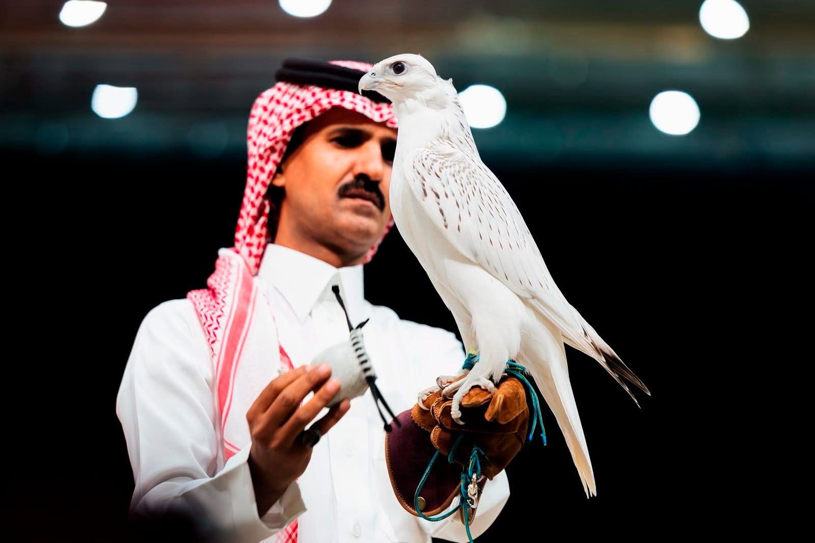الأمير نايف بن سلطان