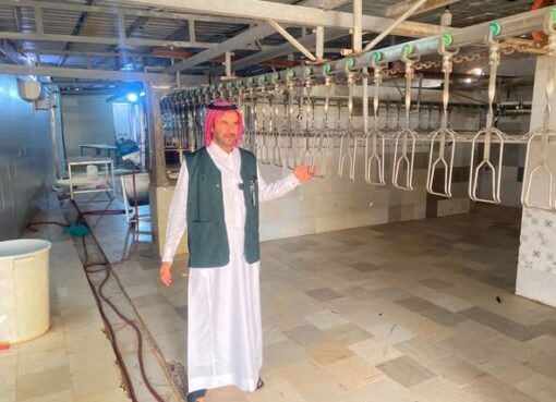‏بيئة الجموم تضبط