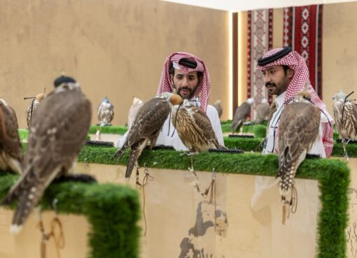 إقبال من الزوار لزيارة المزاد الدولي لمزارع إنتاج الصقور في إجازة نهاية الأسبوع