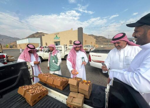 "اختتام حراج التمور بمحافظة رابغ ،مركز حجر بعد موسم حافل بالأنشطة الرقابية والتوعوية"