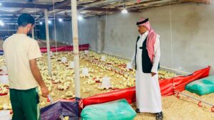بيئة الجموم تضبط مزرعة دواجن عشوائية