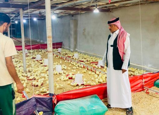 بيئة الجموم تضبط مزرعة دواجن عشوائية