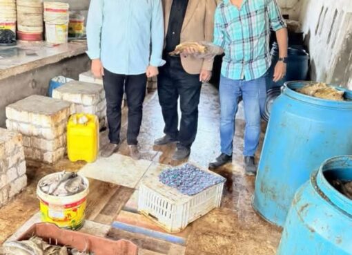 تموين البحيره:ضبط مخزن غير مرخص والتحفظ على ٣ طن أسماك منتهية الصلاحية وضبط ٦٦ شيكارة أسمدة مدعمة 