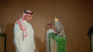 صقار سعودي يستثمر 6 ملايين ريال في منظومة الصقور.. ويبدأ في الربح من السنة الأولى