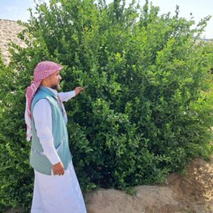 "مكتب وزارة البيئة والمياه والزراعة بمحافظة رابغ يكثّف الجولات الرقابية على مزارع المحافظة لتعزيز الامتثال وحماية الإنتاج الزراعي"