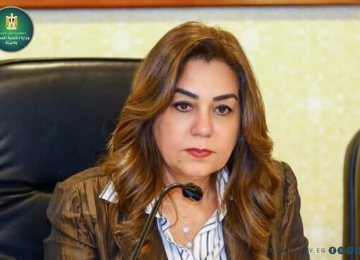 د. منال عوض تتابع نتائج المرور الميداني للجنة الحوكمة والمراجعة الداخلية على عدة أحياء بالجيزة لمتابعة الخدمات والتصدي للمخالفات