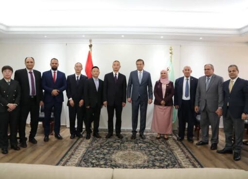 وزير الزراعة يستقبل وفداً من هيئة "إيكاما" الصينية لبحث توطين صناعة المبيدات ونقل التكنولوجيا الحديثة