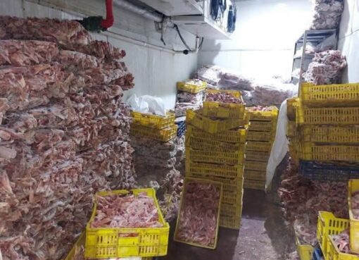ضبط 3231 مخالفة تموينية والتحفظ على نحو 225 طنًا من السلع المدعمة والغذائية المخالفة بالجيزة