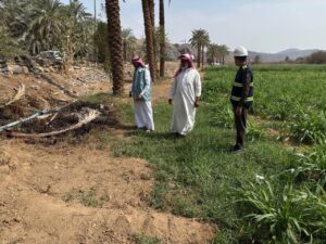 بيئة الكامل بالتعاون مع الدفاع المدني
بمحافظة الكامل يتفذ عددا من الجولات الميدانية الإرشادية على مزارع المحافظة والمراكز التابعة لها