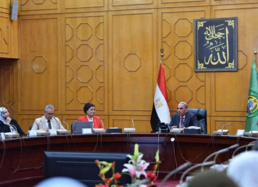 نائب وزير الصحة تتابع تنفيذ الاستراتيجية الوطنية للسكان بالإسماعيلية وتؤكد أهمية الاستثمار فى الشباب والارتقاء بصحة الأم والطفل