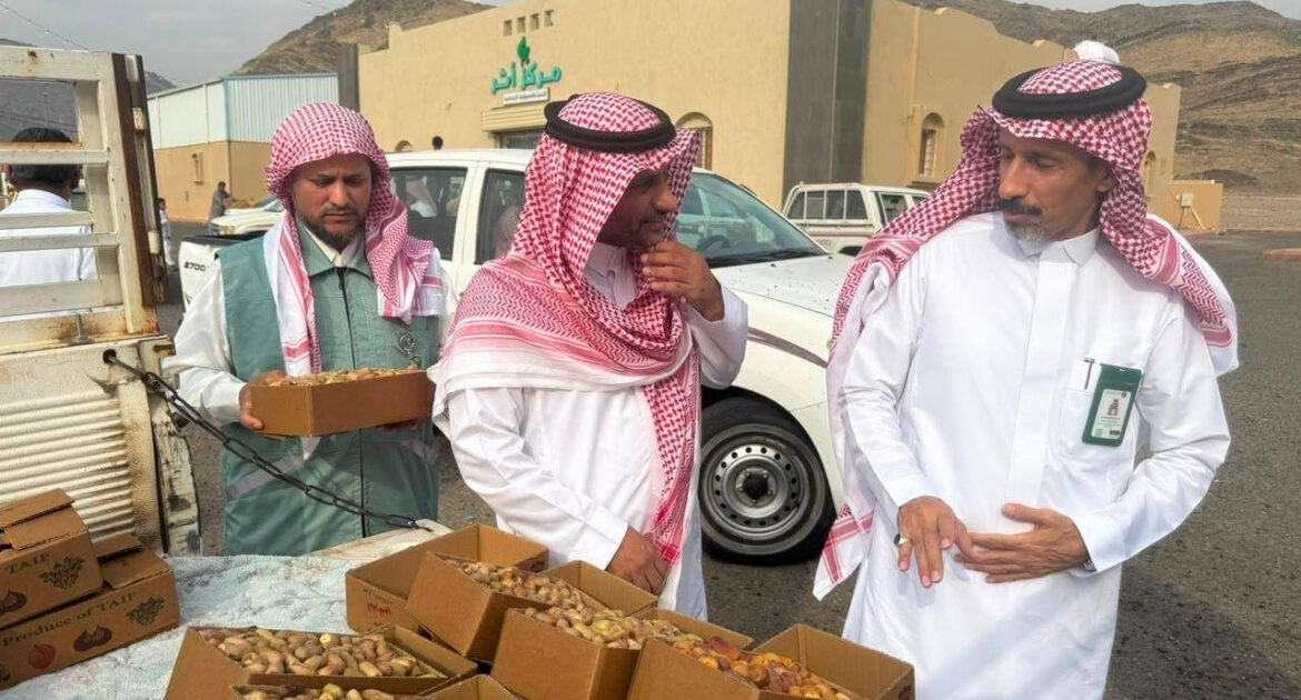 "بيئة رابغ في زيارة لموسم حراج التمور بمركز حجر "