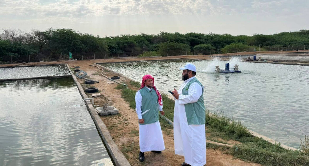 بالتعاون مع ادارة الرقابة والامتثال بفرع الوزارة بالمنطقة " تعزيز الإمتثال وحماية الإنتاج السمكي بمزارع الأسماك في رابغ"