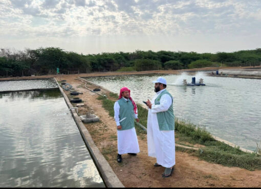 بالتعاون مع ادارة الرقابة والامتثال بفرع الوزارة بالمنطقة " تعزيز الإمتثال وحماية الإنتاج السمكي بمزارع الأسماك في رابغ"