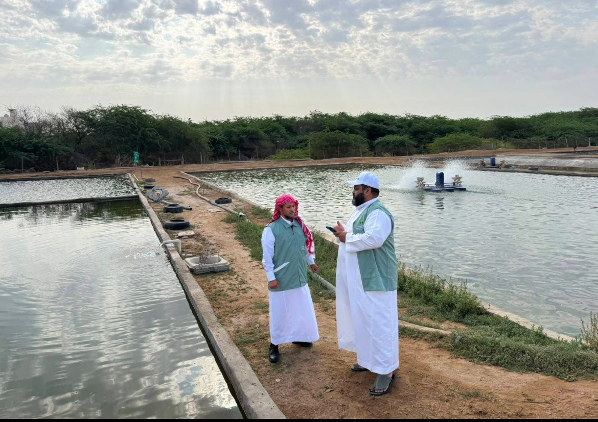 بالتعاون مع ادارة الرقابة والامتثال بفرع الوزارة بالمنطقة " تعزيز الإمتثال وحماية الإنتاج السمكي بمزارع الأسماك في رابغ"