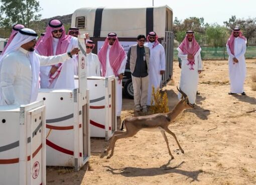 محافظ الطائف يطلق