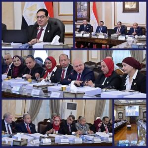 مجلس جامعة القاهرة