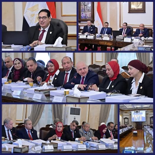 مجلس جامعة القاهرة
