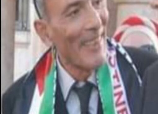هنا نابل