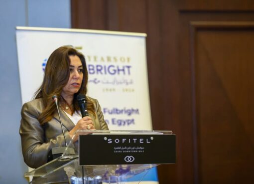 وزيرة التنمية المحلية