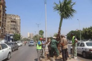 استمرار جهود محافظة