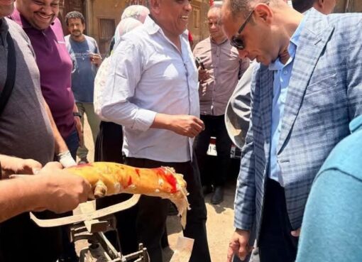 ضبط 213 طنًا و281 كجم من اللحوم ومنتجاتها الفاسدة والمخالفة خلال أغسطس.. وتحرر 908 محضرًا بالمحافظات