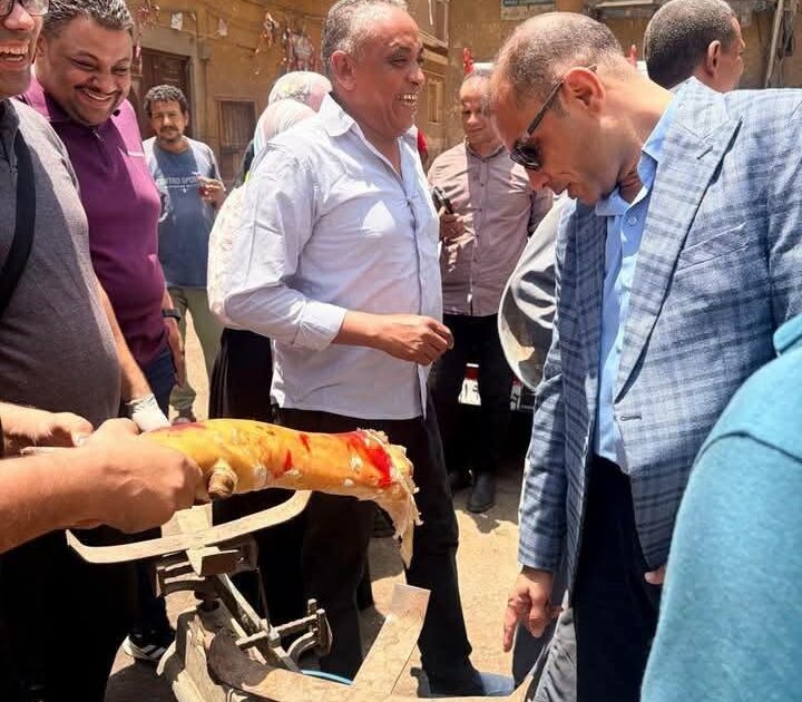 ضبط 213 طنًا و281 كجم من اللحوم ومنتجاتها الفاسدة والمخالفة خلال أغسطس.. وتحرر 908 محضرًا بالمحافظات