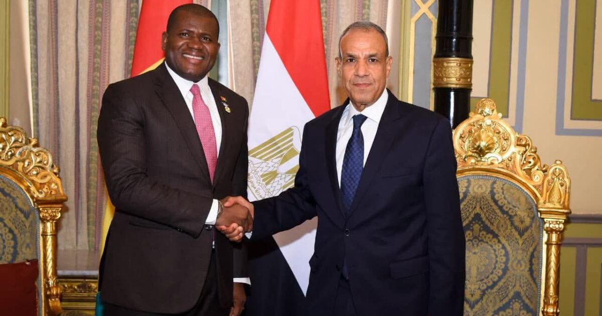وزير الخارجية يلتقي وزير التعاون الدولي والتخطيط بجمهورية غينيا ويبحثان سبل تعزيز التعاون التنموي والاقتصادي