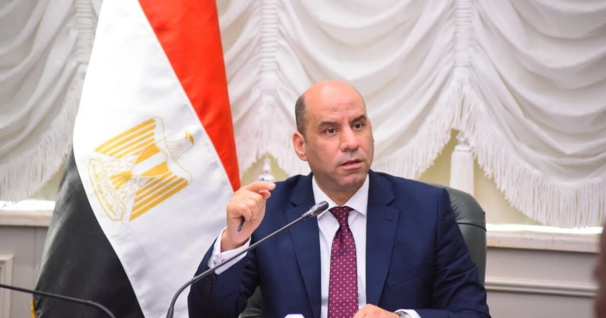 وزير العمل في ورشة بالتعاون مع منظمة العمل الدولية: نعمل على وضع إطار تشريعي وتنفيذي متكامل لحماية العمالة المنزلية تنفيذًا لتوجيهات الرئيس السيسي