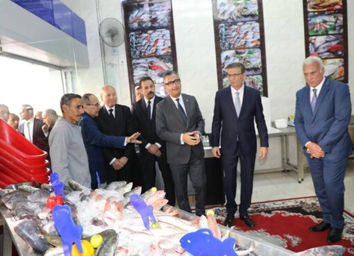 محافظ القاهرة ووزير التموين والتجارة الداخلية ووزير الزراعة واستصلاح الأراضى ورئيس جهاز مستقبل مصر للتنمية المستدامة يفتتحوا فرع جديد من أكبر سلسلة تجارية