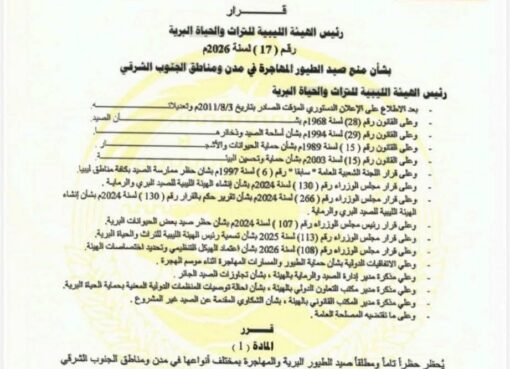 رئيس الهيئة يقرر منع صيد الطيور المهاجرة في مناطق الجنوب الشرقي لمدة موسمين
