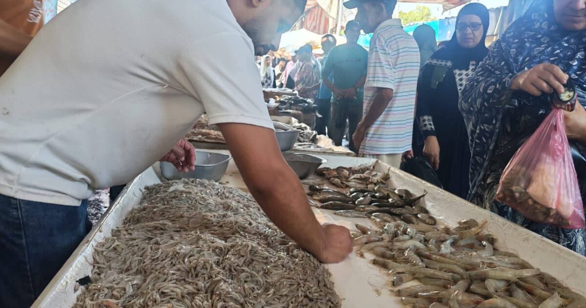 محافظ الإسماعيلية يتابع مبادرة بيع الأسماك بأسعار مخفضة بسوق الجمعة..