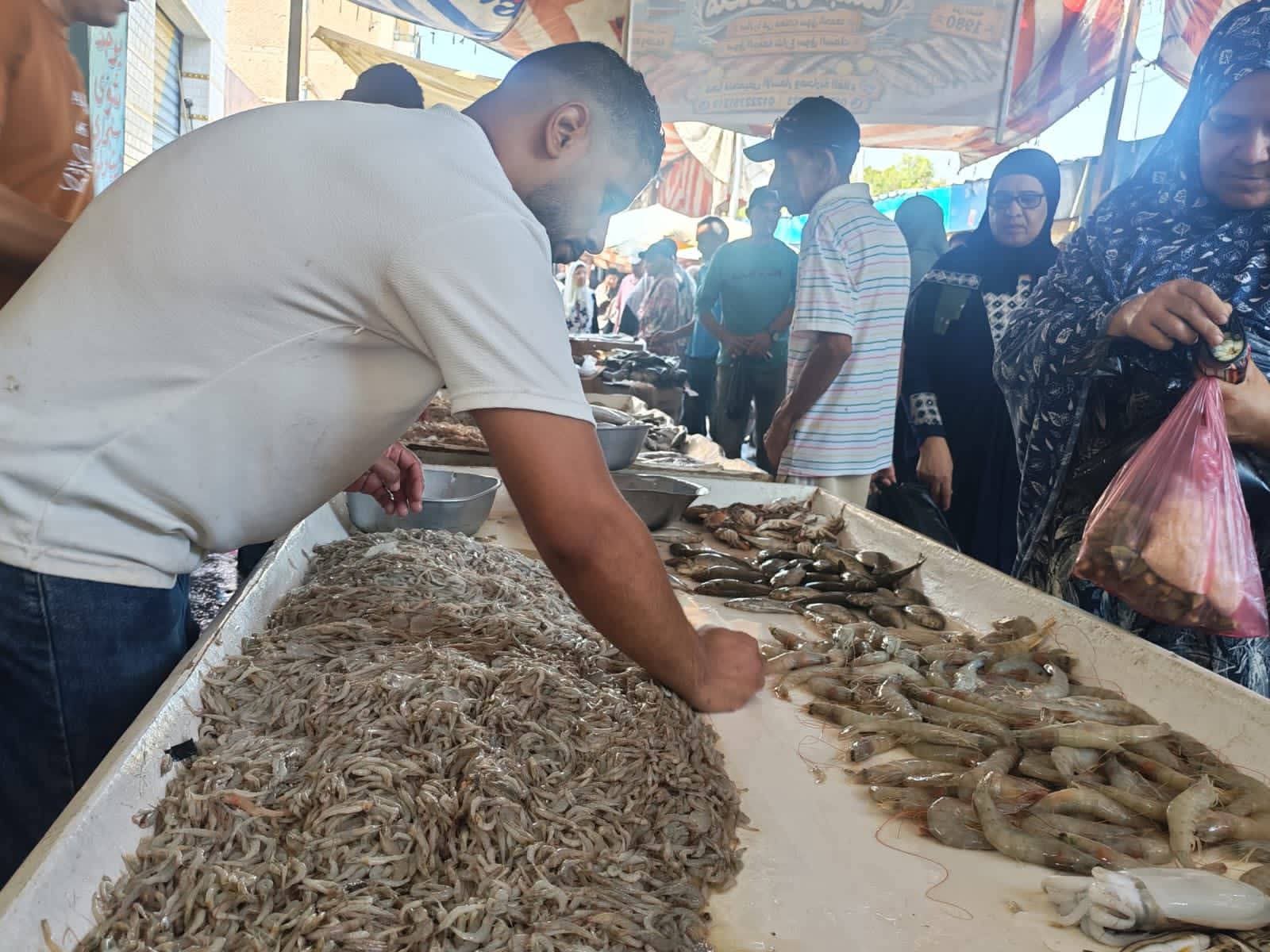 محافظ الإسماعيلية يتابع مبادرة بيع الأسماك بأسعار مخفضة بسوق الجمعة..