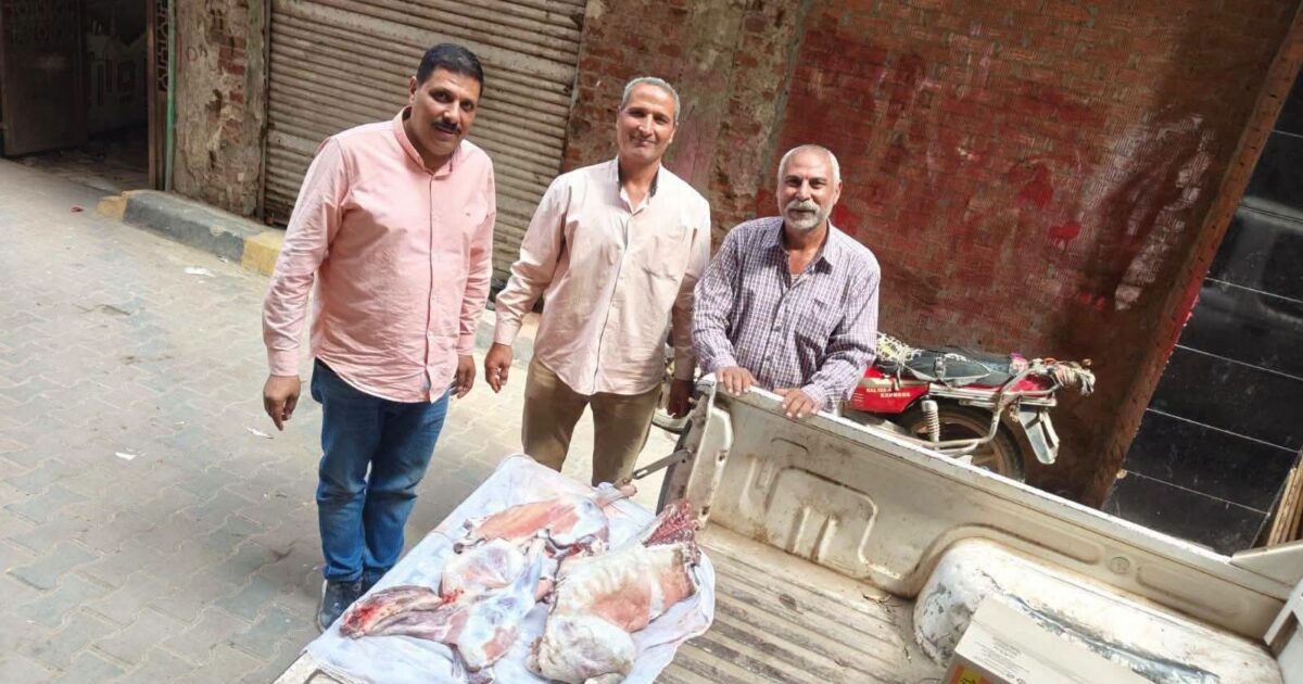 ضبط لحوم وأسماك فاسدة في حملات رقابية بأشمون ومنوف